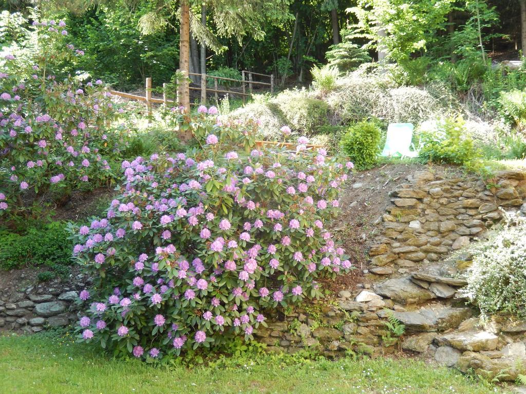 Haus Am Wald Daire Steindorf am Ossiacher See Dış mekan fotoğraf