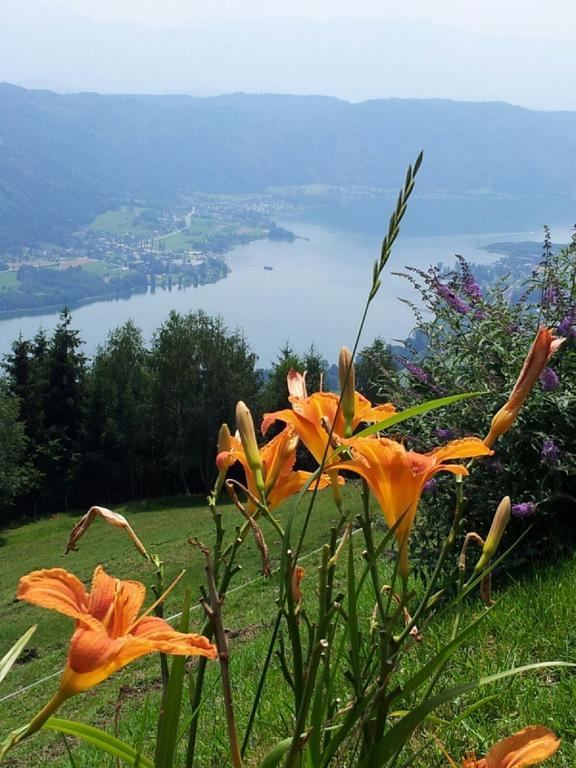 Haus Am Wald Daire Steindorf am Ossiacher See Dış mekan fotoğraf